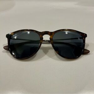 Ray-Ban The Erika Classic Sunglasses